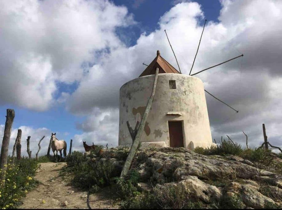 La Torre Eco-Suite Vejer de la Frontera Exteriör bild